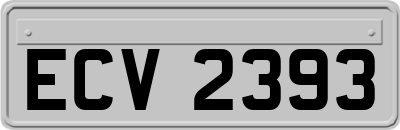 ECV2393