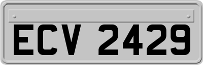 ECV2429