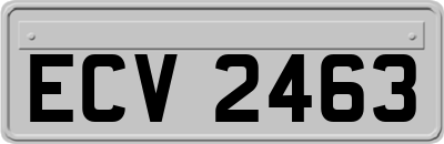 ECV2463