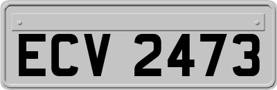 ECV2473