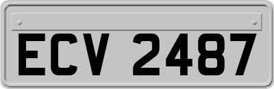 ECV2487