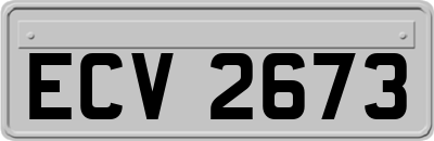 ECV2673