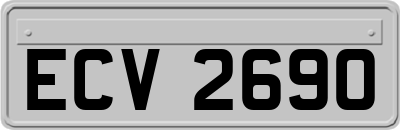 ECV2690