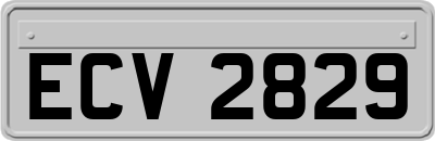 ECV2829