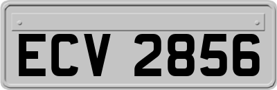ECV2856