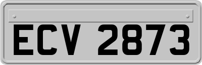 ECV2873