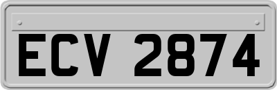 ECV2874