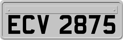 ECV2875