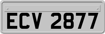 ECV2877