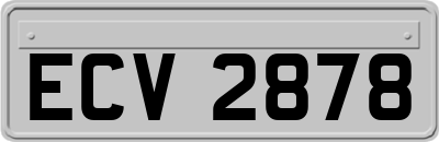 ECV2878