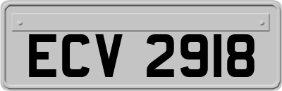 ECV2918