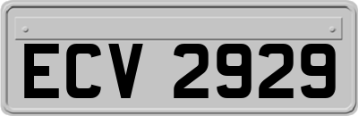 ECV2929