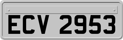 ECV2953