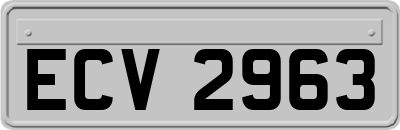 ECV2963