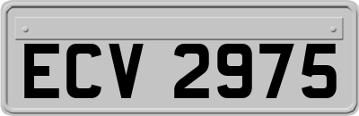 ECV2975