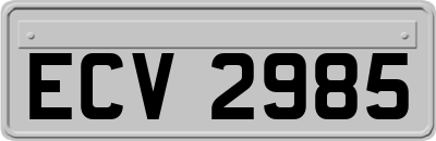 ECV2985