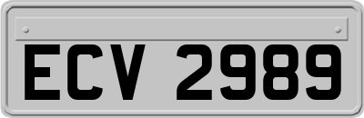 ECV2989