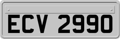 ECV2990