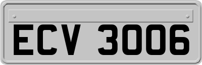 ECV3006
