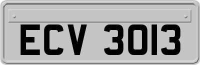 ECV3013