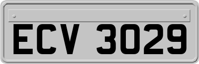 ECV3029
