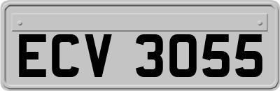 ECV3055