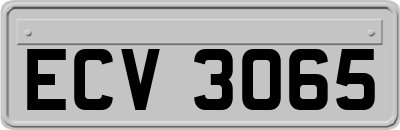 ECV3065