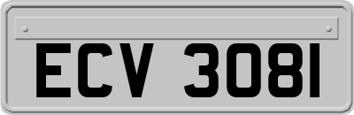 ECV3081