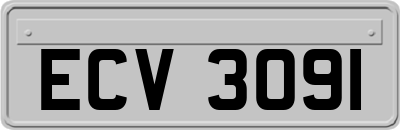 ECV3091