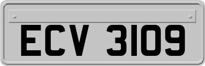 ECV3109