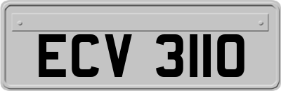 ECV3110