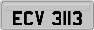 ECV3113