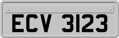 ECV3123