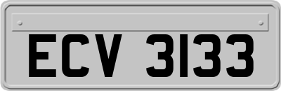 ECV3133