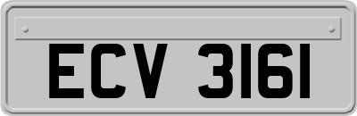 ECV3161