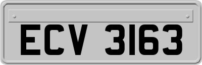 ECV3163