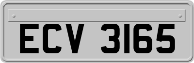 ECV3165