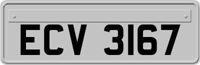 ECV3167