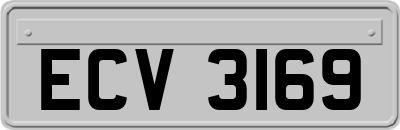 ECV3169