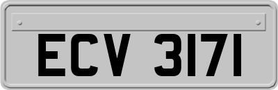 ECV3171
