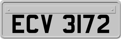 ECV3172