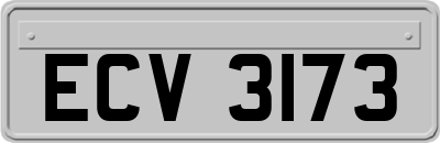 ECV3173