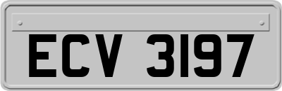 ECV3197
