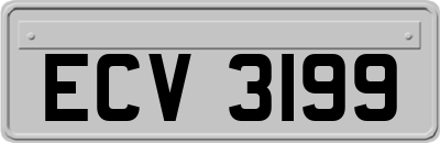 ECV3199
