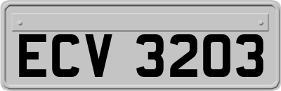 ECV3203