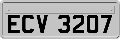 ECV3207