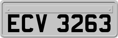 ECV3263
