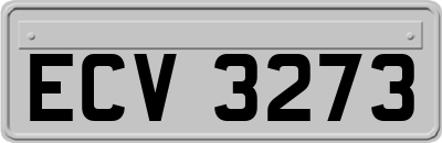 ECV3273