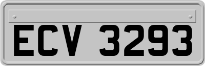 ECV3293