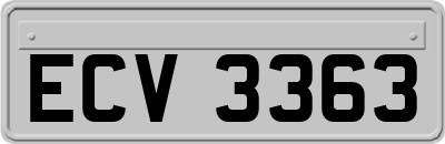 ECV3363